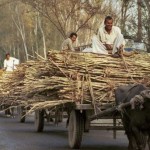 गन्ना किसानों को ब्याज मुक्त लोन देगी सरकार : गडकरी